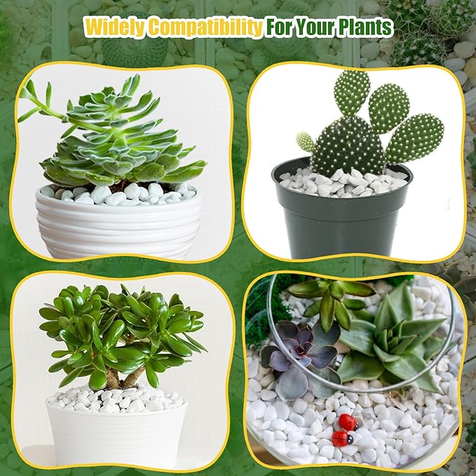 Organic Chunky Perlite for Plants (0.4"-0.8" in Diameter), Natural Horticultural Soil Additive Conditioner Mix, Improve Drainage and Ventilation, Enhance Soil Health and Root Growth (4 Quarts)
