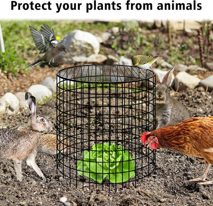 Hi Sasara 5 Sets Wire Plant Protectors Cage with Staples,11.8" Dia x 11.8" H,Plant Protector with Round Lids to Keep Animals Out,Wire Plant Protector Cage for Plants Vegetables Flower