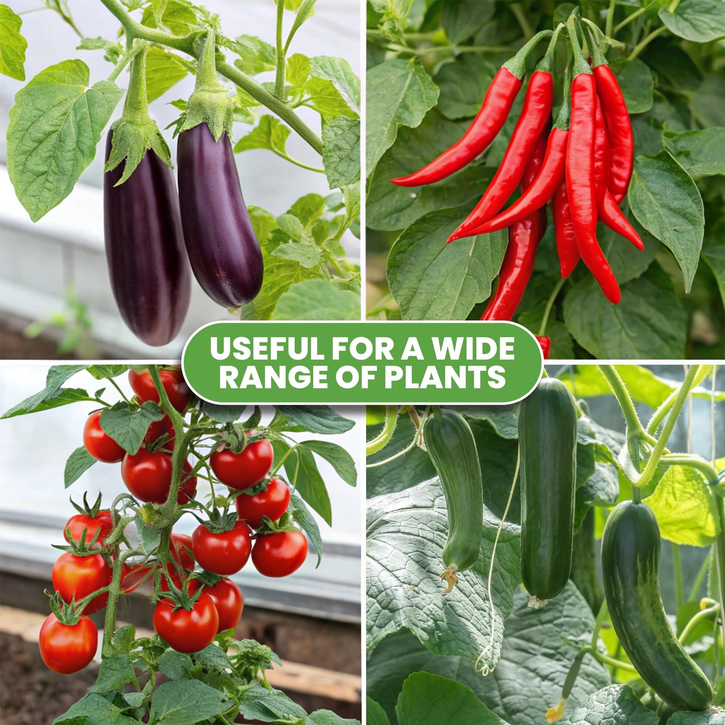 Square Tomato Cage - Large Trellis Stakes and Plant Support Structures for Vegetables and Climbing