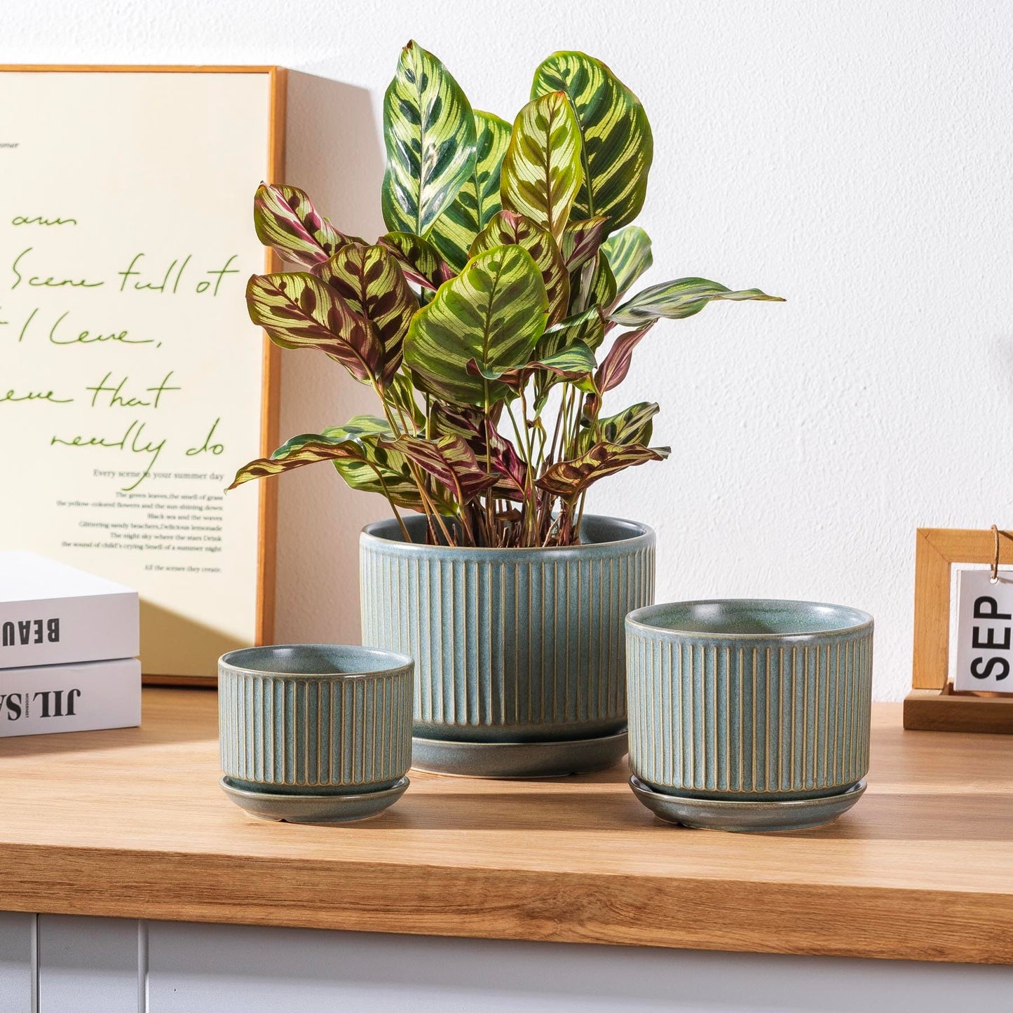 SURE YUESI Ceramic Plant Pots Set of 3, Indoor Outdoor Planters with Drainage Hole and Saucer