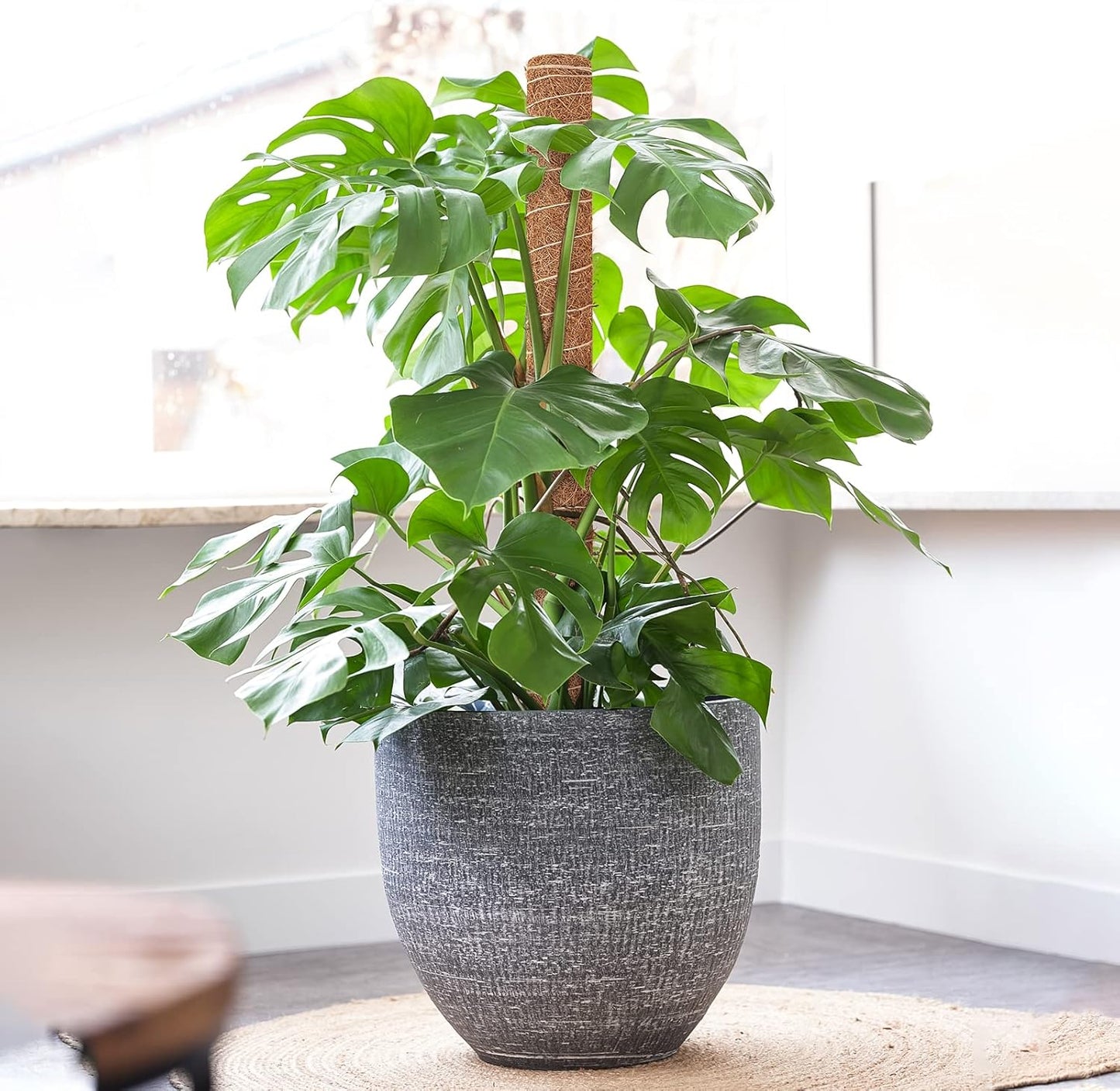 GROWNEER 42 Inch Moss Pole for Plants, 4 Pcs 15 Inch Stackable Coir Totem Support, Moss Sticks with 15pcs Labels and 78in Garden Ties, Monstera and Snake Plants Stake for Climbing Indoor