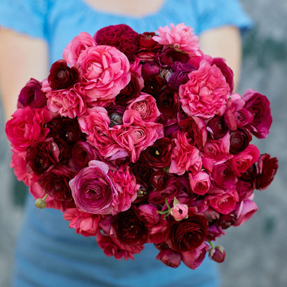 Ranunculus Bulbs - Vineyard Mix - 40 Bulbs - Mixed Flower Bulbs, Corm Attracts Bees, Attracts Pollinators, Easy to Maintain & Grow, Fragrant, Container Garden