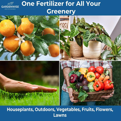 20-20-20 Water-Soluble Fertilizer – Powder for Liquid Plant Food for Indoor & Outdoor Plants, Orchids, Vegetables, Lawns, Flowers – 20 20 20 Fertilizer 3 Quarts (6 lbs)