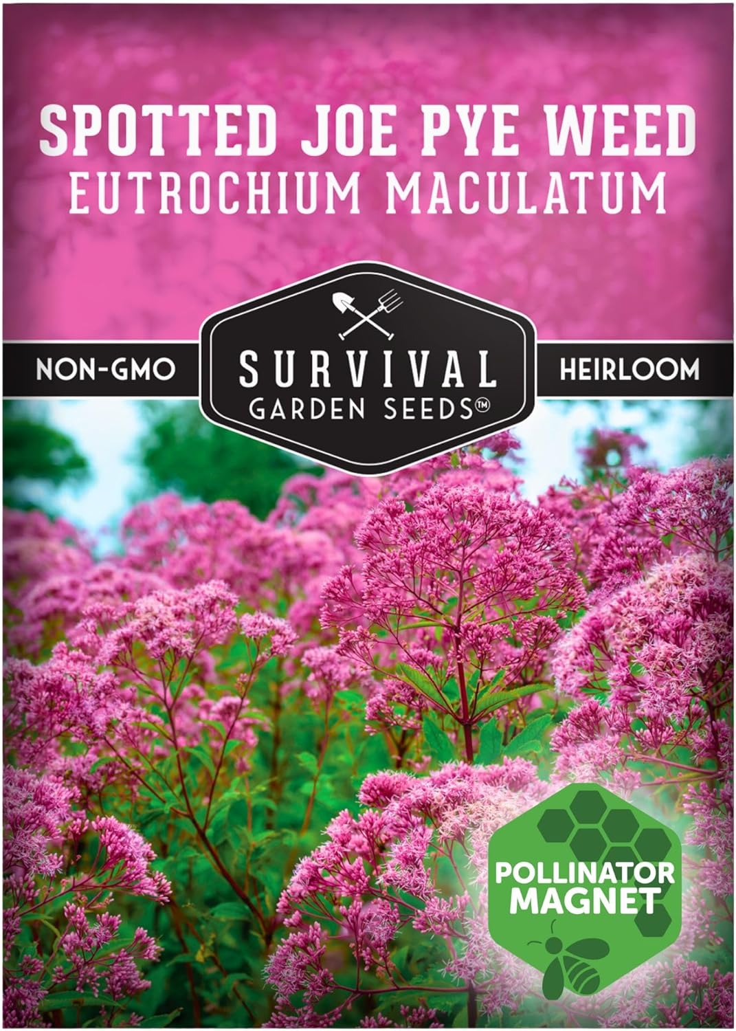 Survival Garden Seeds - Spotted Joe Pye Weed Seeds for Planting | Eutrochium maculatum | Butterfly Magnet | Perennial North American Native Wildflower - 1 Pack