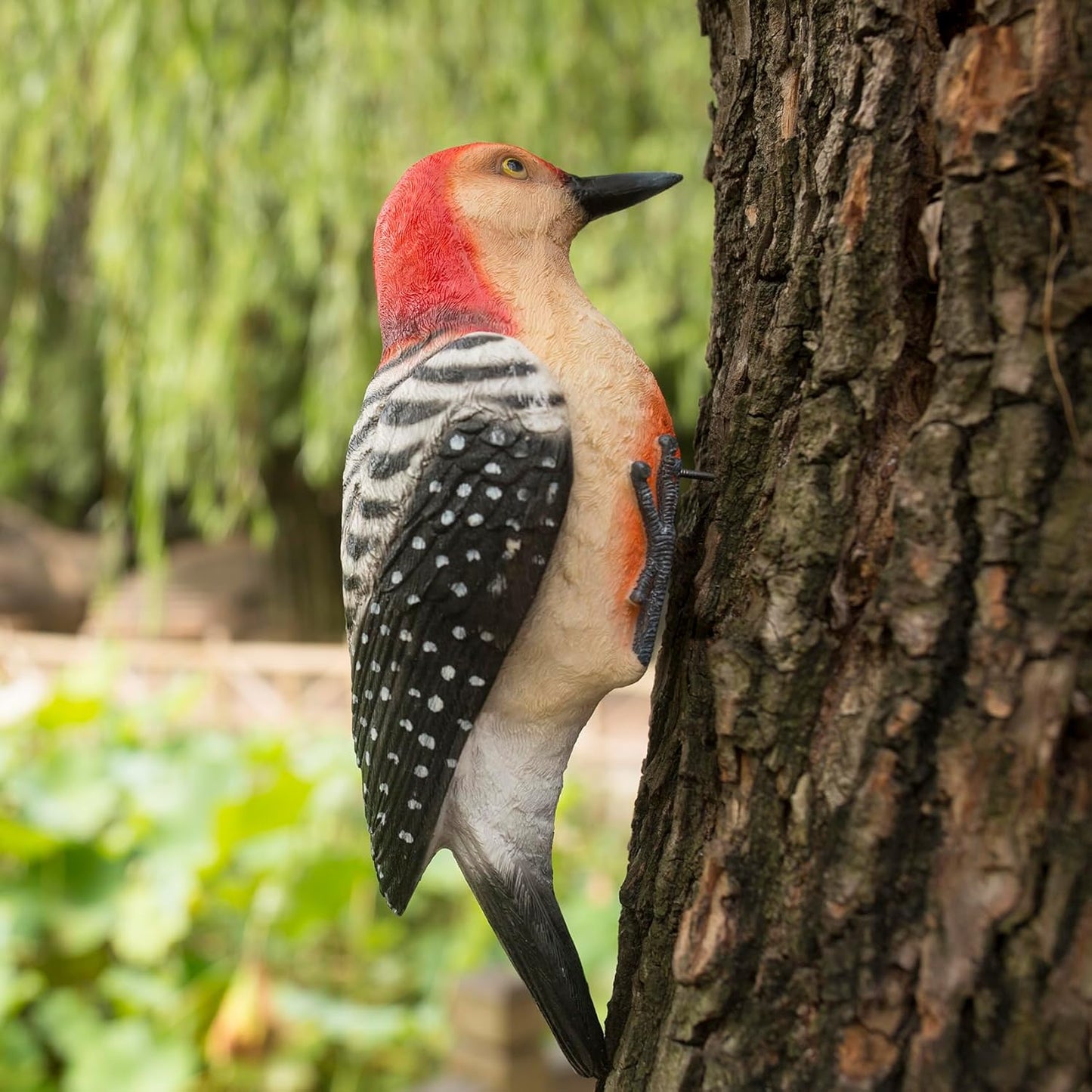 Outdoor Resin Bird Statue, Hanging Tropical Bird, red-Bellied Woodpecker Sculpture Perfect Patio Decor, Outdoor, Patio, Lawn, Tree Trunk, Porch Decor