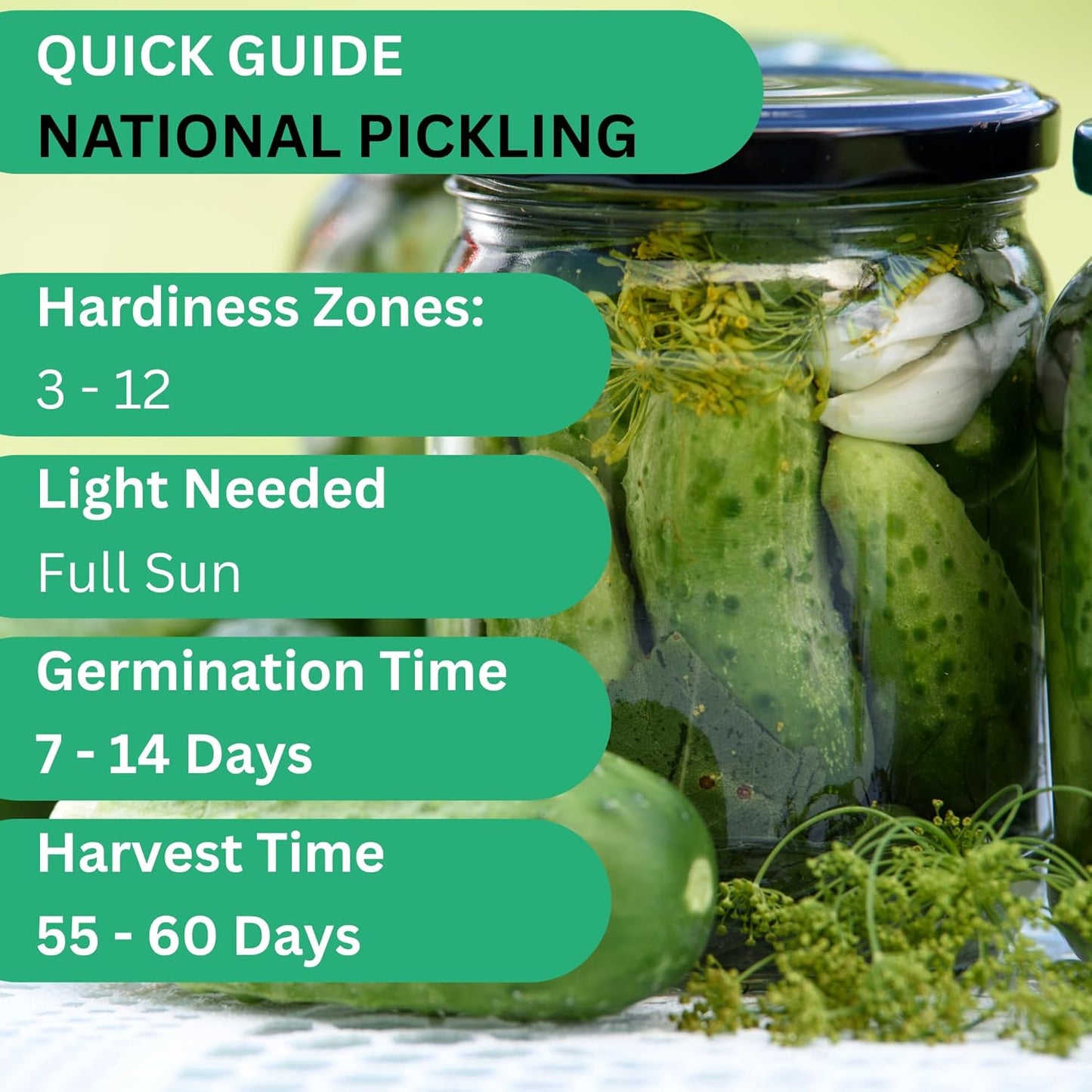 Woods Creek Seeds: National Pickling Cucumber Seeds for Planting - Over 90 Heirloom Cucumber Seed Pack - Non-GMO Pickling Cucumbers for Planting Indoors or Outdoors