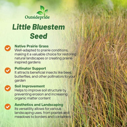 Outsidepride Perennial Little Bluestem Grass Seed - 25 lbs. Warm Season, Drought Resistant, Long-Lived Native Prairie Grass Seed, Ideal for Erosion Control, Ornamental Landscaping & Wildlife Gardens