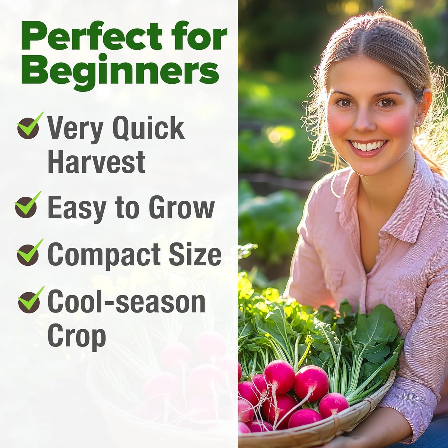 HOME GROWN 𝗨𝗦𝗔 𝗣𝗥𝗘𝗠𝗜𝗨𝗠 Cherry Belle Radish Seeds 800+ 𝗡𝗢𝗡-𝗚𝗠𝗢 Heirloom Vegetable Seeds for Planting Outdoors Harvest in 30 Days Red Radishes, Spring and Fall Gardens (Raphanus Sativus)