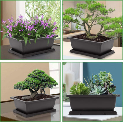 GROWNEER Bonsai Pots 3 Packs 11 Inch Bonsai Tree Training Pot with Humidity Drainage Trays & Repotting Mat Rectangle Planter Plants Starter Kit Growing for Garden Yard Office Indoor Outdoor