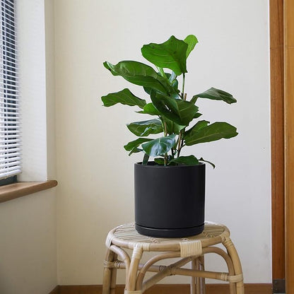 D'vine Dev 10 Inch Ceramic Planter Pot with Drainage Hole and Saucer, Indoor Cylinder Round Planter Pot, Black, 94-O-E-2