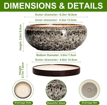 Succulent Planter 6 Inch - Ceramic Bonsai Pots with Drainage Hole and Tray, Shallow Plant Pot Indoor Outdoor, Cactus Succulent Pot, Round Bonsai Planter, Home Decor, Plant Lover Gift, White
