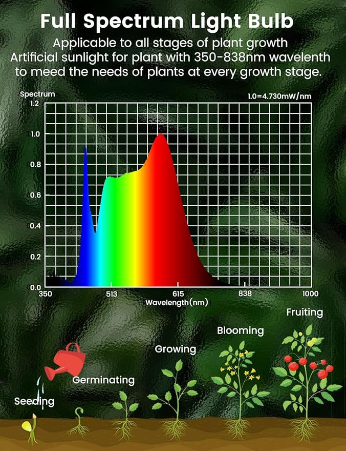 BSOD Full Spectrum Light Bulb, Grow Light Bulbs G45 Small Lightbulbs E26 LED 5W Eq 40W Globe 360-Degree PPFD Sunlight 4000K for Home, Plant, Freezer, Lamp (2 Natural White Bulbs)