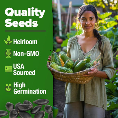 HOME GROWN Luffa Seeds 2 Pack(Luffa aegyptiaca)80 Heirloom 𝗡𝗢𝗡-𝗚𝗠𝗢,𝗨𝗦𝗔-𝗦𝗢𝗨𝗥𝗖𝗘𝗗 Loofah Gourd Seeds for Planting High Germination Rate - Make Sponges or Harvest Young Loofahs for Eating
