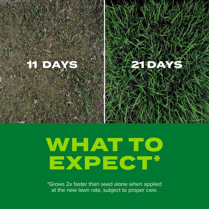 Scotts Turf Builder Rapid Grass Tall Fescue Mix, Combination Grass Seed and Fertilizer, Grows Green Grass in Just Weeks, 5.6 lbs.