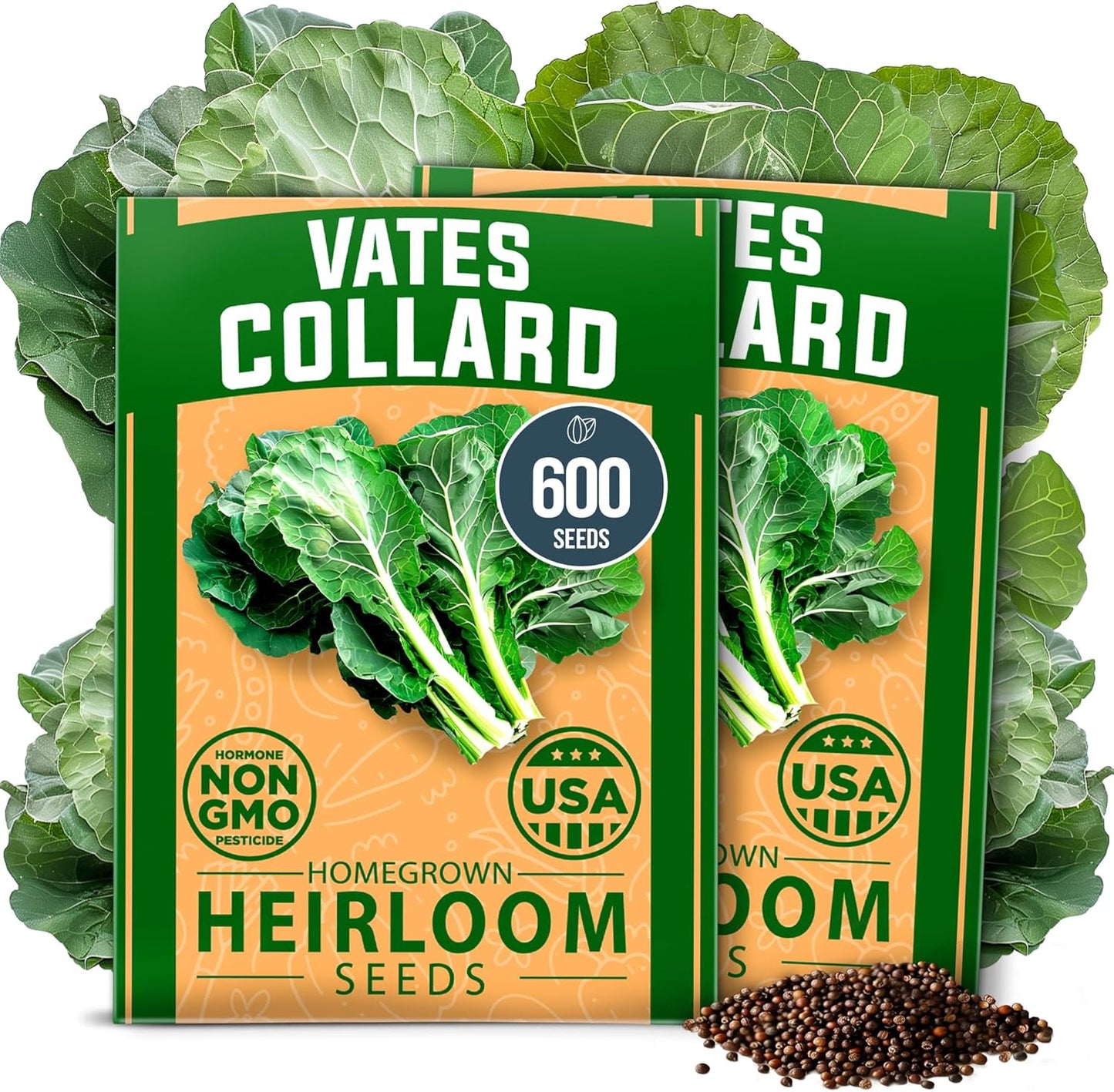 HOME GROWN Collard Green Seeds - 2 Pack - 600 Seeds for Fall Planting - High Germination 𝗡𝗢𝗡-𝗚𝗠𝗢 𝗨𝗦𝗔-𝗦𝗢𝗨𝗥𝗖𝗘𝗗 Heirloom Vegetable Seeds,Vates Collard Greens Seed Pack(Brassica oleracea)