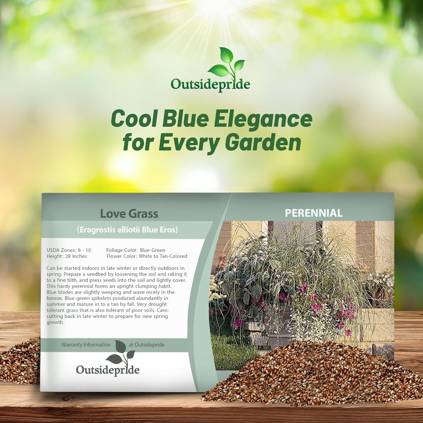Outsidepride 1000 Seeds Perennial Eragrostis Elliotii Blue Eros Ornamental Love Grass Seed for Planting