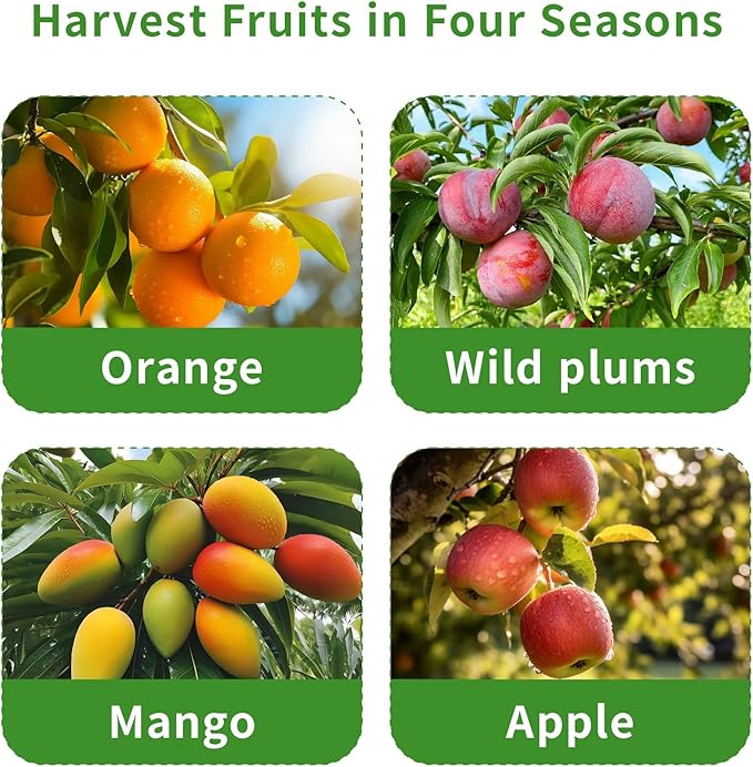 Fruit Picker Pole with Basket Telescoping 13Ft Adjustable Apple Picker Pole with Big Non-Woven Basket Fruits Harvesting Tool for Apples, Lemon, Orange