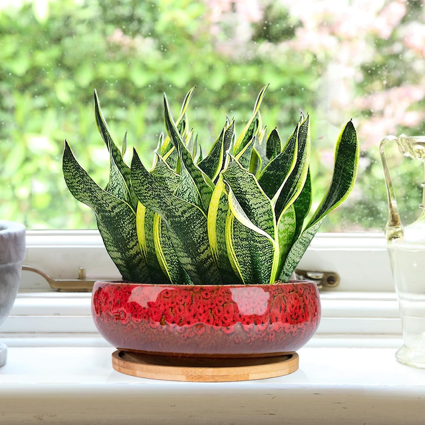 ARTKETTY Succulent Pots - 7.5 Inch Large Plant Pot with Bamboo Tray, Shallow Bonsai Pots with Drainage, Ceramic Planter for Indoor Plants, Cactus, Home Office Desk Decor