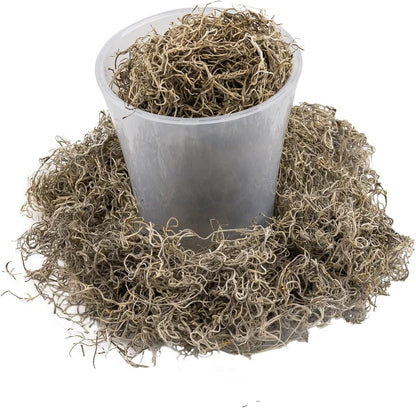 Gardenera Premium Natural Spanish Moss | Natural Preserved - Great Ground Cover - Filler for Potted Plants - 4 Quart Bag