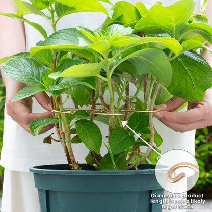 5PCS 7.5 Inch Monstera Plant Stem Support Hook - Premium Metal Structure for Indoor Plants, Durable and Elegant Stem Holder with Soft Touch Clips for Stable Growth