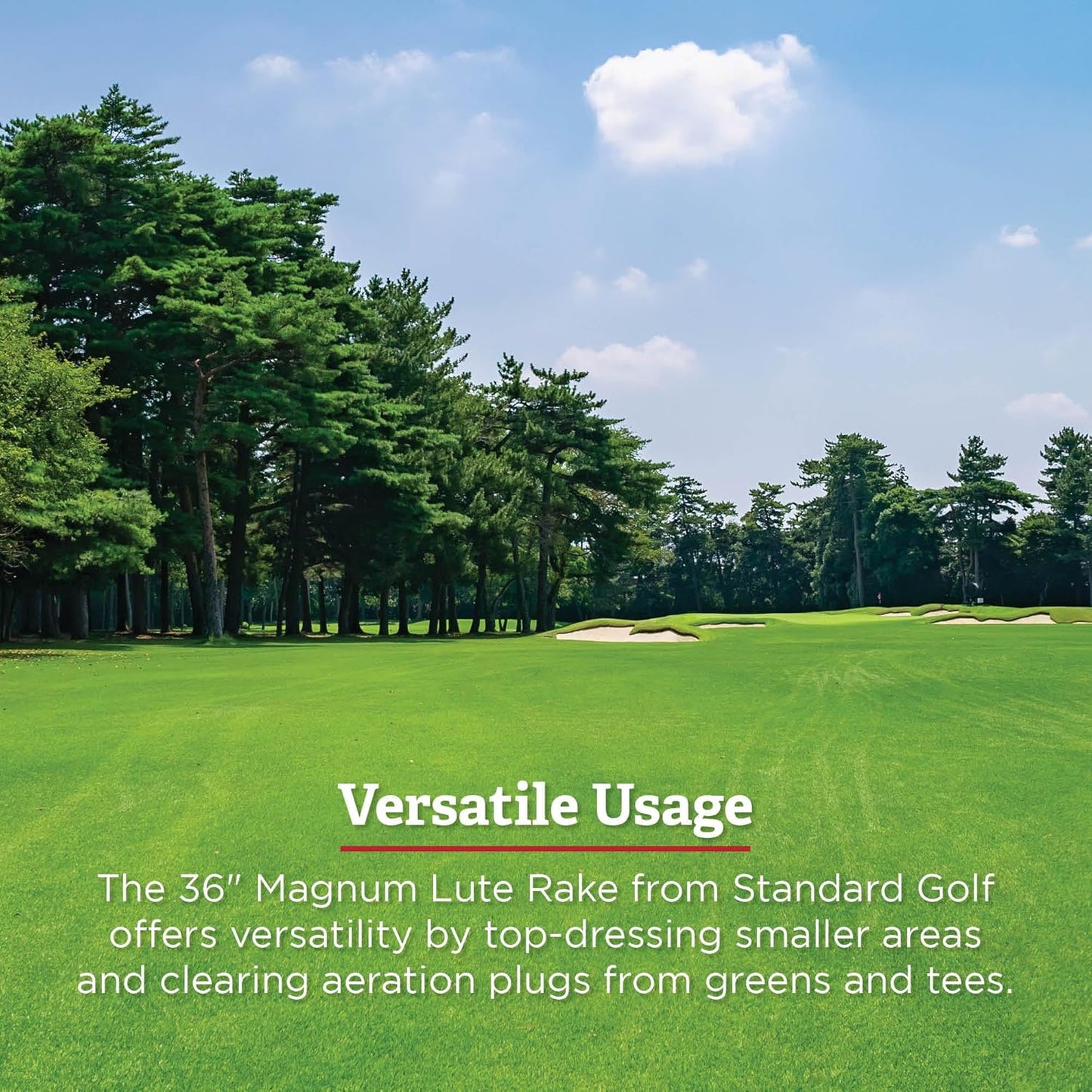 Standard Golf Magnum Lute - 36'' Reversible Flat Head Rake | Used for Golf Courses, Ball Fields, Asphalt Work Landscaping & More | 66'' Straight Handle with T Connection for Added Stability