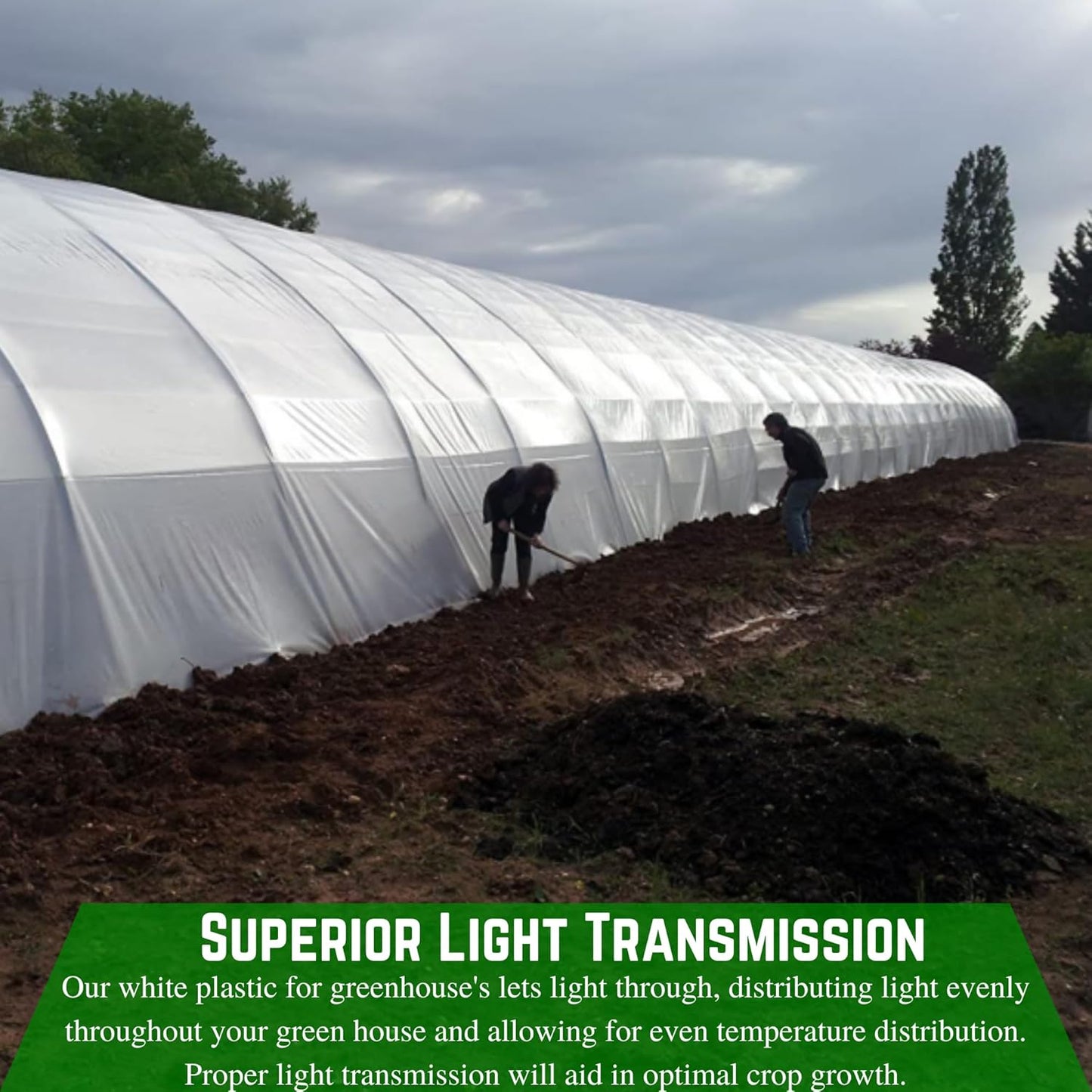 Farm Plastic Supply - String Reinforced 4 Year UV Resistant 10 mil White Greenhouse Plastic Sheeting - 4 Year UV Resistant Polyethylene Greenhouse Film, Hoop House Green House Cover (16' x 75')