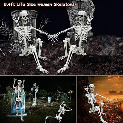 Lodou 5.4Ft Posable Life Size Human Adult Skeletons Plastic Human Bones with Movable Joints for Halloween Decoration