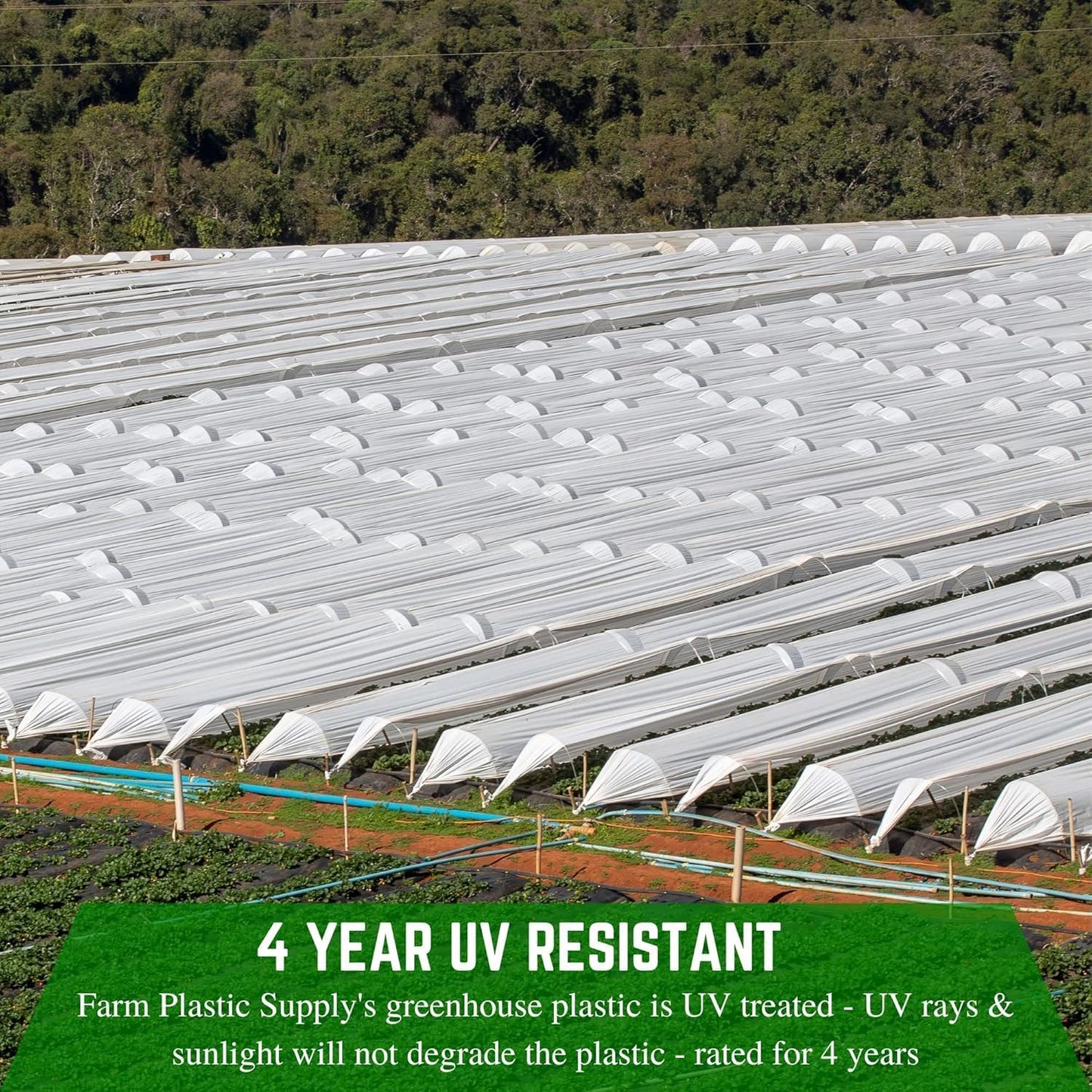 Farm Plastic Supply - String Reinforced 4 Year UV Resistant 10 mil White Greenhouse Plastic Sheeting - 4 Year UV Resistant Polyethylene Greenhouse Film, Hoop House Green House Cover (40' x 30')
