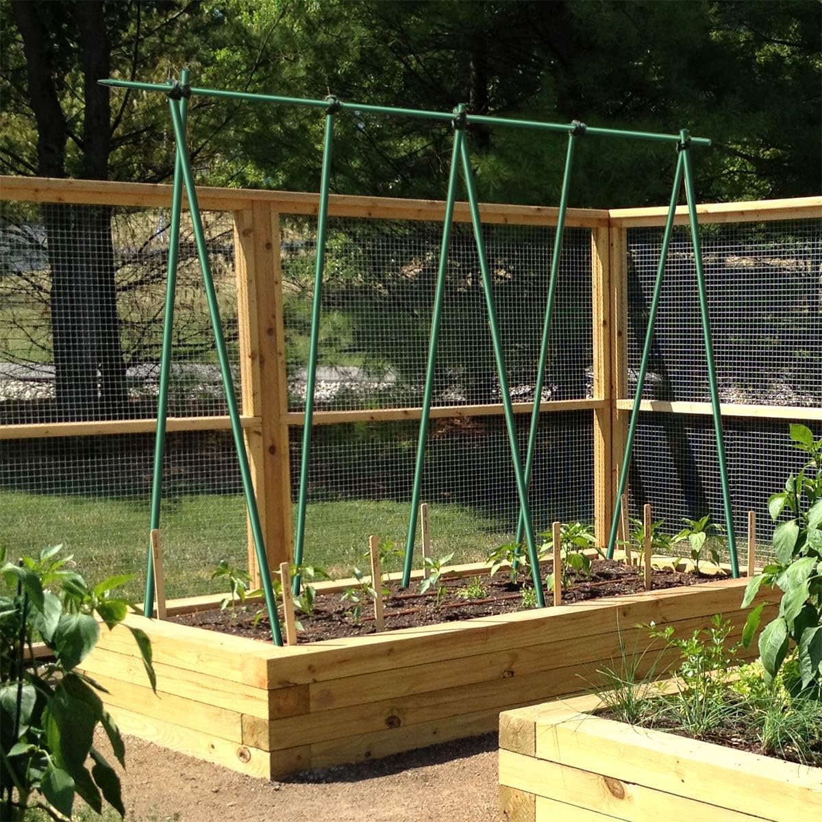 10pack Garden Stakes 3/8" Dia 6 FT FRP Plant Supporting Stakes for Climbing Tomato Cucumber Strawberry Bean Tree, Dark Green