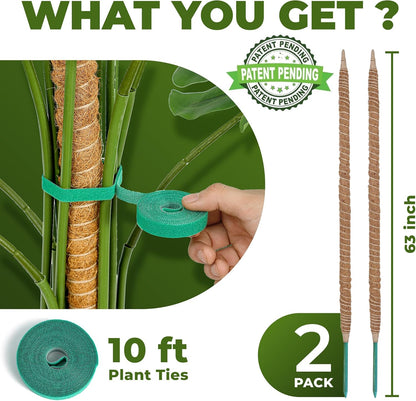 2 Pack 63 Inch Bendable Moss Pole Monstera Plant Support Stakes for Indoor Plants - Tall Moss Stick Trellis for Potted Climbers - Stem Support Accessories for Climbing Houseplants