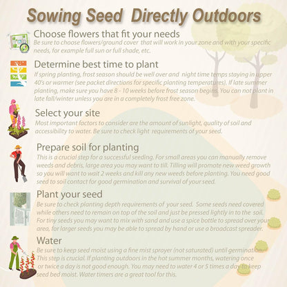 Outsidepride Low Growing Wildflower Seeds - 1 lb Dwarf, & Short, Diverse Perennial & Annual Wild Flower Seed Mix with Long Bloom Season for Colorful Display That Thrives on All States