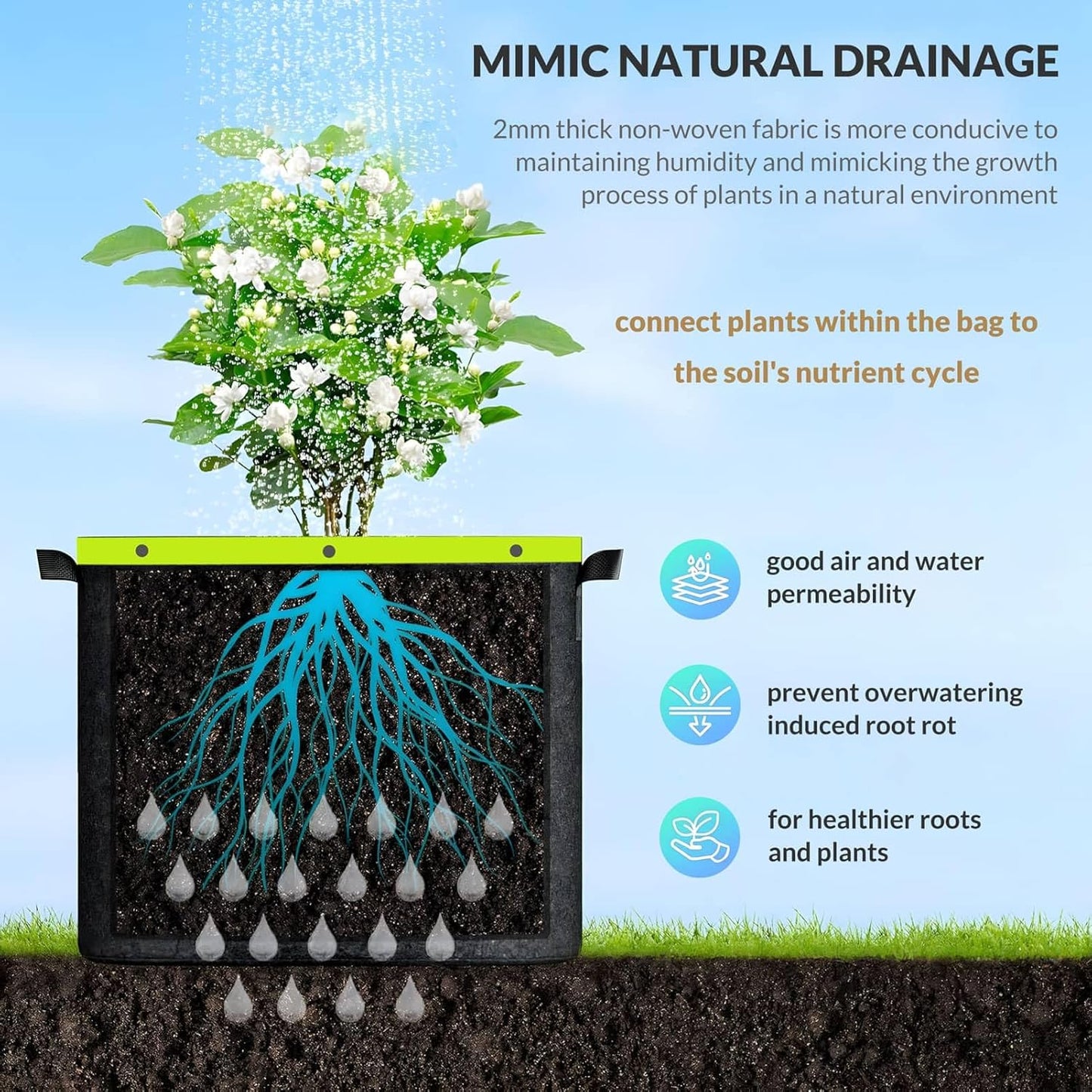 Grow Bags 6 Pack 2MM 400G More Heavy Duty Thickened Nonwoven Garden Plant Fabric Pots (Black, 2 Gallon)