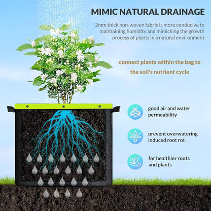 Grow Bags 6 Pack 2MM 400G More Heavy Duty Thickened Nonwoven Garden Plant Fabric Pots (Black, 2 Gallon)