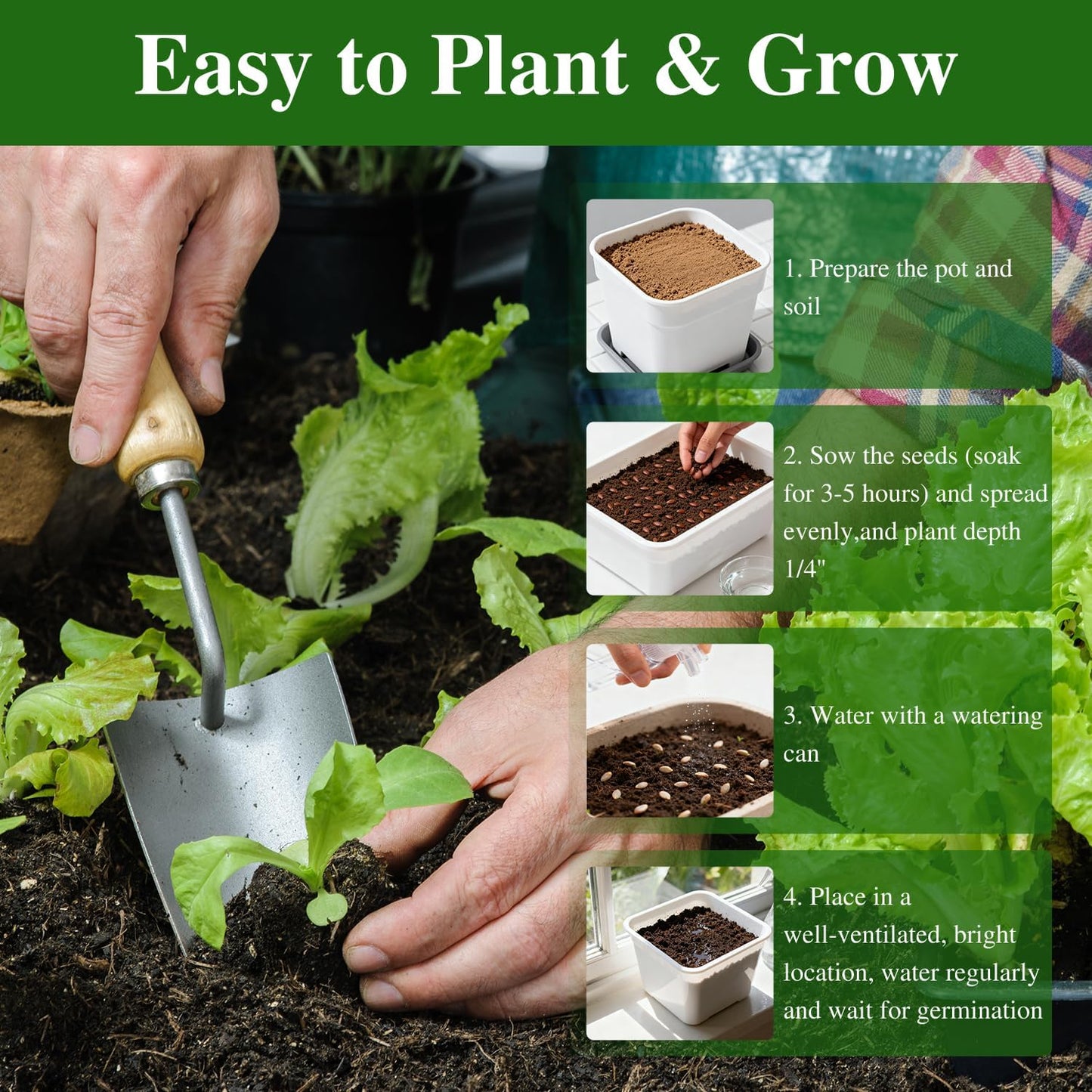 Romaine Lettuce Seeds, High Germination Non-GMO USA Grown Premium Vegetable Seeds for Planting, 9 Grams Seeds Great for Indoor Outdoor Garden