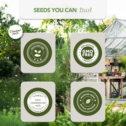 Garden Pack Seeds Pouch - 50 Varieties of Vegetable, Herb & Flower Seeds for Planting - 25,000 Non GMO Heirloom Seeds - Garden Seeds for Vegetable Garden