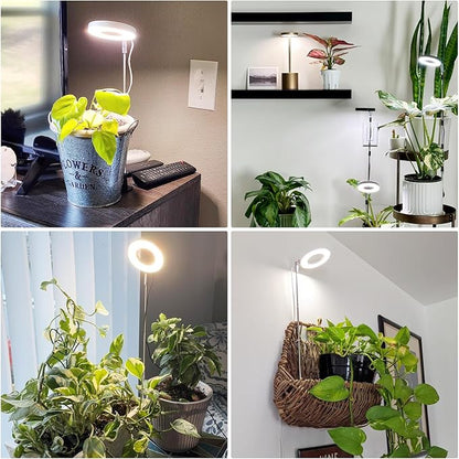 Grow Light, Full Spectrum Plant Lights for Indoor Growing with with 3/9/12H Timer, 3 Color Modes, 10 Brightness, 6.5"-26" Height Adjustable Halo Grow Light with Base, 3 Pack(3.4in)