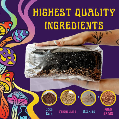 6 LB All-in-One Mushroom Grow Bag: Up to 48oz of Mushrooms! Nutrient-Enhanced, Injection Port, Just Add Your Own Spores & Grow Like Magic (6 LB Bag)
