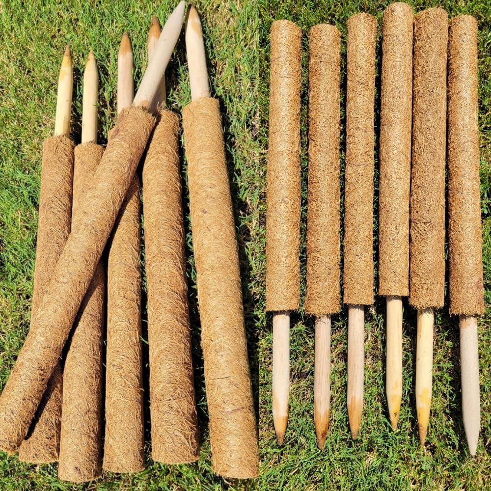 Pack of 6 Coco Coir Pole- Plants Monstera 24" Sized Poles for Climbing Plants, Plant Support Stakes for Indoor/Outdoor Potted Plants