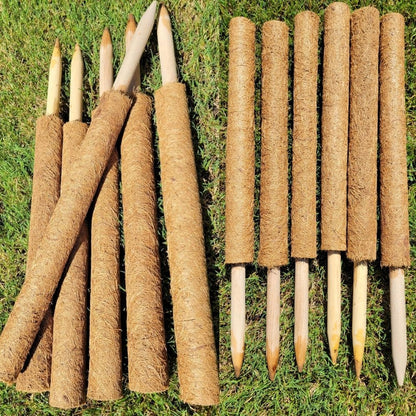 Pack of 6 Coco Coir Pole- Plants Monstera 24" Sized Poles for Climbing Plants, Plant Support Stakes for Indoor/Outdoor Potted Plants