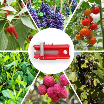 Gardener's Thumb Knife & Pruning Shears - Multi-Use Stainless Steel Tool for Leaf Trimming, Fruit Picking, Plant Trimming | Lightweight Garden Snips, Indoor/Outdoor Flowers Fruits Vegetables