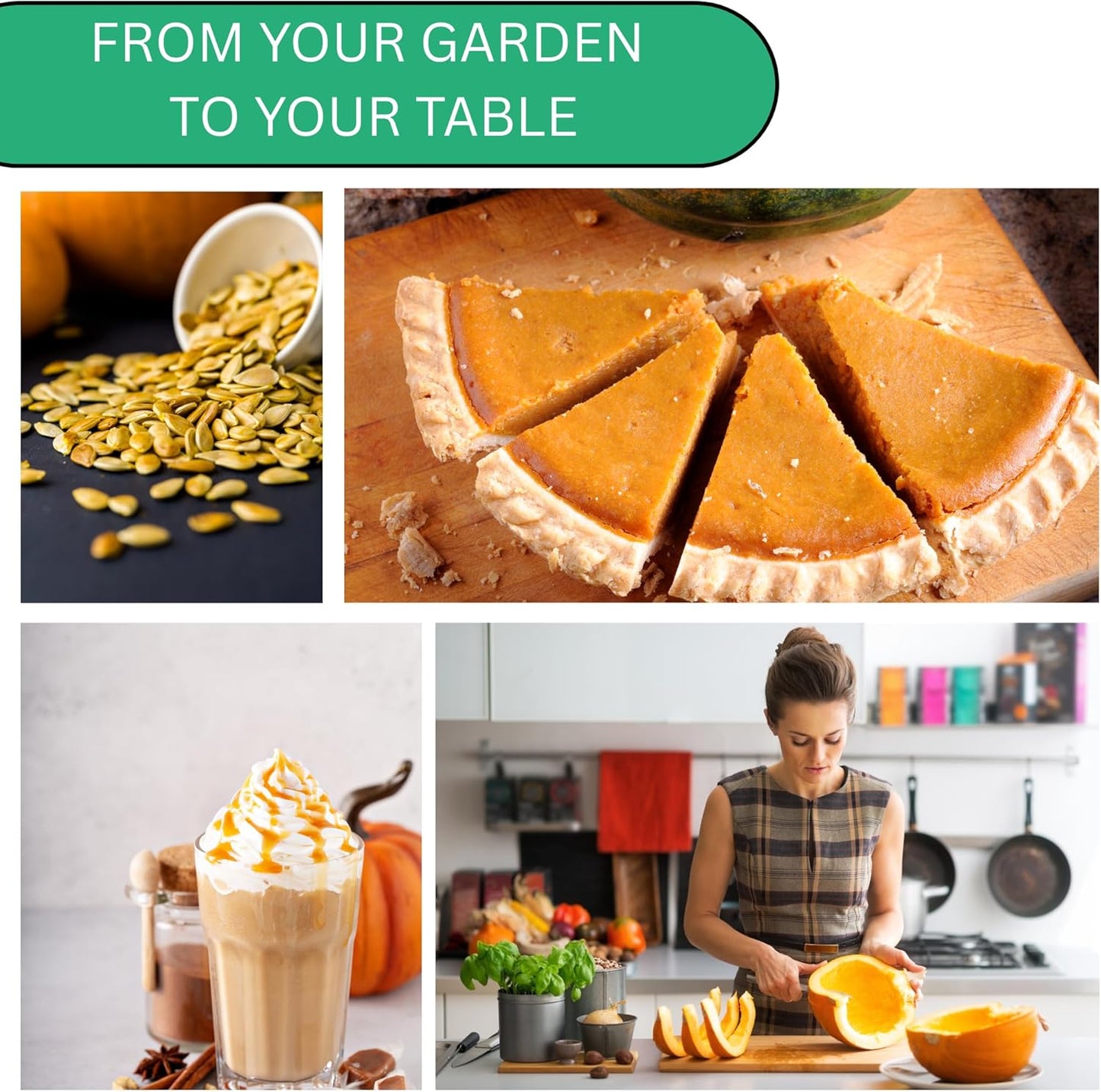 Woods Creek Seeds: Jack O Lantern Pumpkin Seeds for Planting - Over 40 Heirloom Non-GMO Pumpkin Seeds to Plant - Ideal Heirloom Seeds to Grow for Decor & Fall Harvest - Pumpkins for Outdoor Gardens