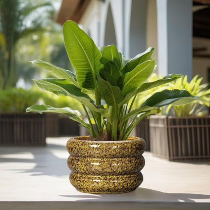 SQOWL Ceramic Pots for Plants - 13.5 Inch Ceramic Planter for Indoor Plants, Large Plant Pots with Drainage Hole, Round Flower Pot Outdoor, Bubble Planter, Room Decor, Gifts for Plant Lover, Yellow