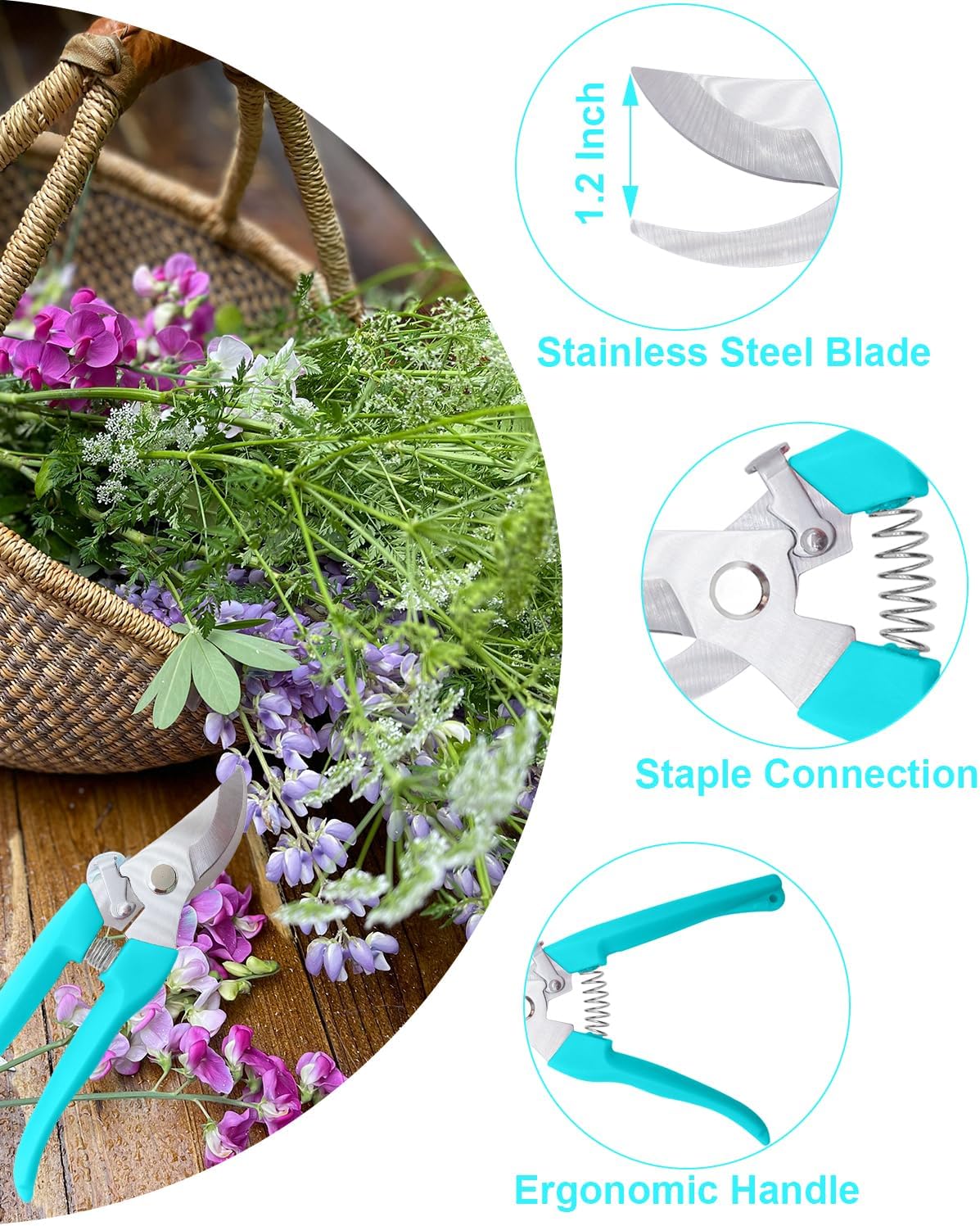 Pruning Shears for Gardening, 2 Pack Garden Scissors for Cutting Fresh Flowers, Floral Clippers for Plants, Fruits (Blue)