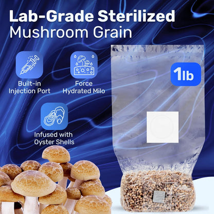 Surfin' Spores Mushroom Grow Kit | 4 lb Grow-in-Bag Kit/Monotub Refill | Includes: 1 lb Sterile Grain Bag with Injection Port & 3 lb Organic CVG Substrate | Spores Not Included (Two Pack)