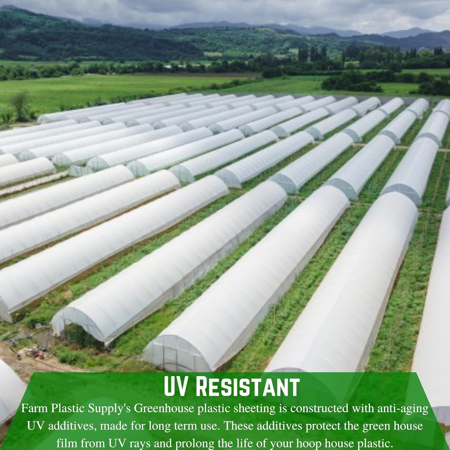 Farm Plastic Supply - String Reinforced 4 Year UV Resistant 10 mil White Greenhouse Plastic Sheeting - 4 Year UV Resistant Polyethylene Greenhouse Film, Hoop House Green House Cover (16' x 50')