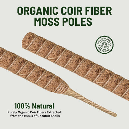 2 Pack 30 Inch Moss Pole for Plants, Moss Poles for Climbing Plants Monstera, Handmade Coco Coir Plant Pole, Monstera Plant Support for Plant Grow