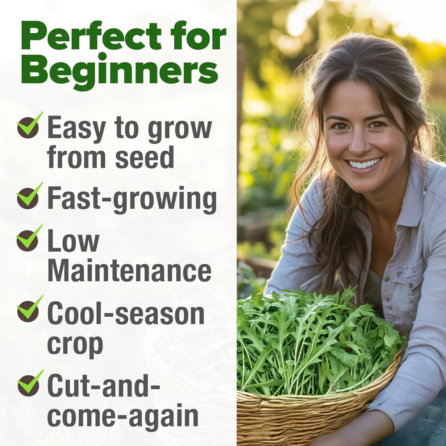 HOME GROWN Arugula Seed 2 Pack – 4350 𝗡𝗢𝗡-𝗚𝗠𝗢 𝗨𝗦𝗔 Vegetable Seeds – Ideal Seeds for Hydroponic Garden Indoor – Premium and Heirloom Arugula Seeds for Planting (Eruca vesicaria)