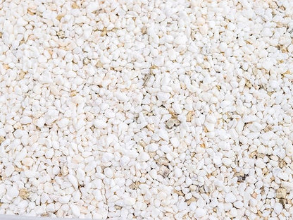 Palmetto Vermiculite Company 4 Cubic Foot Planting Soil Additive (Perlite)