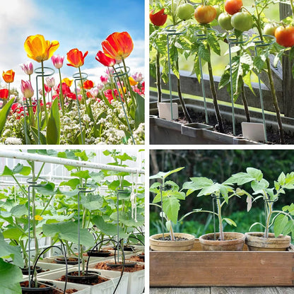 12 Pack 18 Inch Plant Support Stakes, Metal Single stemmed Flower Support Hoops，Garden Plant Stakes Plant Prop for Amaryllis Orchid Lily Rose Peony Tomatoes Gladiolus