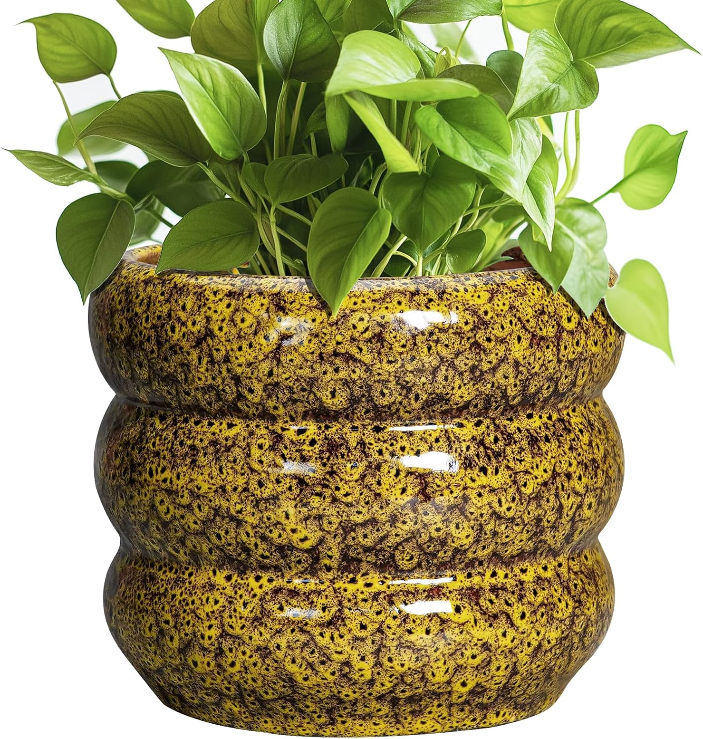 SQOWL Ceramic Planter - 8 Inch Indoor Plant Pot with Drainage Hole, Round Planter for Outdoor Plants, Ceramic Flower Pots, Bubble Planters, Home Room Porch Decor, Plant Lover Gifts, Yellow